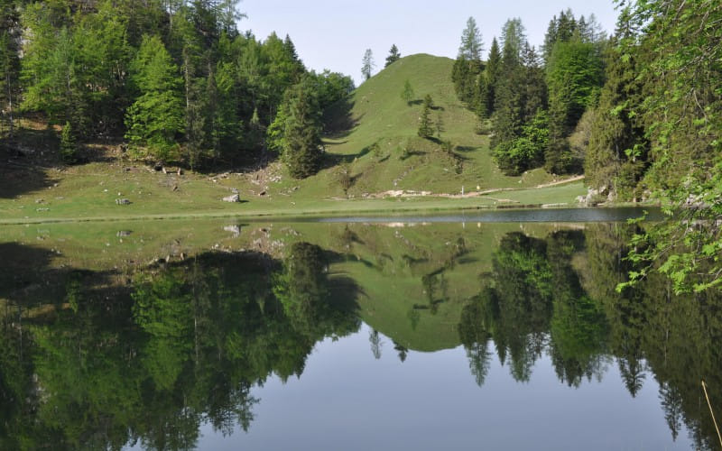 der_weg_zum_taubensee_14.jpg