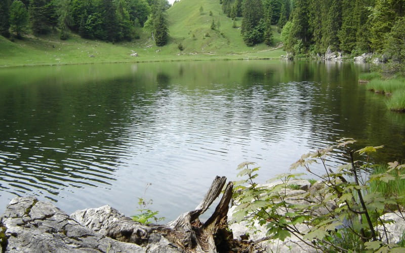 der_weg_zum_taubensee_45.jpg